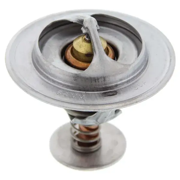 Echt Gates Thermostat - 33877