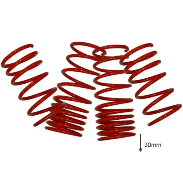 Schneller Versand US-Racing Tieferlegungsfedern 30mm - LS-35141
