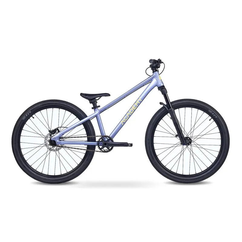 Meistverkauft Academy PUMP 6 - 26" Kinderfahrrad - 2026 - frost