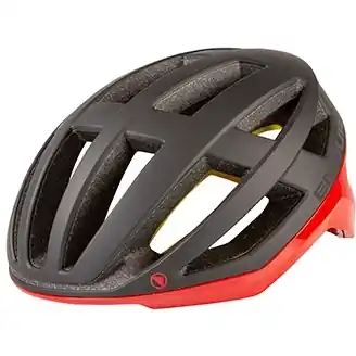 Endura FS260 Pro MIPS® Helm - rot Direkt Vom Hersteller