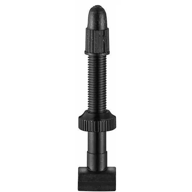 Giant Tubeless Ventile 38 mm (2 Stck.) Garantierte Lieferung