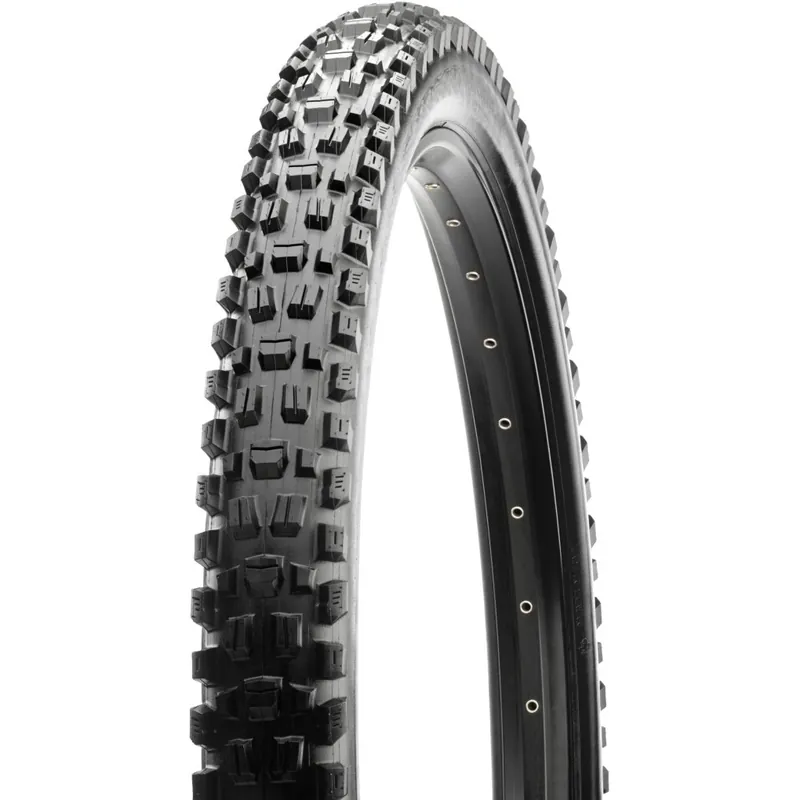 Top-Seller Maxxis Assegai Faltreifen - 3C MaxxTerra EXO TR WT - 29x2.60"