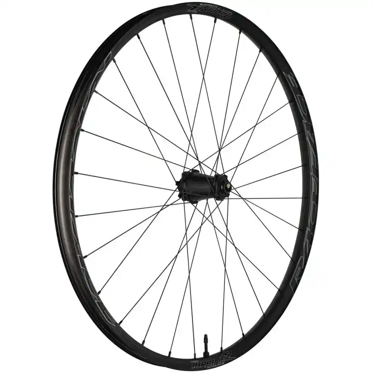 Sonderaktion Race Face Turbine R 35 - 29 Zoll Vorderrad - 6-Loch - 15x110mm Boost