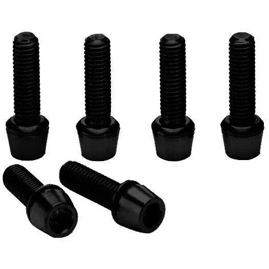 Neue Ware Ritchey Edelstahlschrauben für WCS C220 - 6 Stück