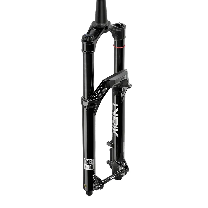 Must-Have RockShox Lyrik Ultimate Federgabel Charger 3.2 RC2 Linear XL E1 - 29" 170mm Offset 44mm 15x110mm - schwarz