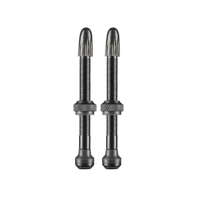 Schwalbe Tubeless Ventile (1 Paar) - 40/60/80/100mm Markenware