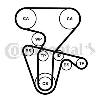 CONTINENTAL CTAM CT877WP3PRO - Wasserpumpe + Zahnriemensatz Sale