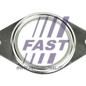 FAST FT84580 - Dichtung, Abgasrohr Sichere Zahlung