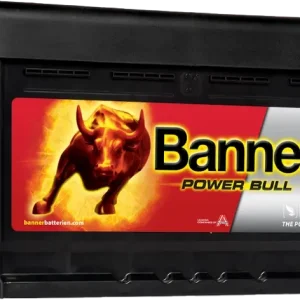 Banner P72 09 Power Bull Kalzium PKW-Batterie 12V 72Ah 670A Billig