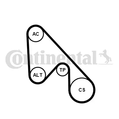 CONTINENTAL CTAM 5PK1145K1 - Keilrippenriemensatz Neue Kollektion