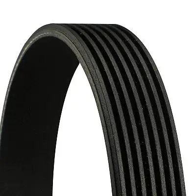 Jetzt Kaufen CONTINENTAL CTAM 7PK1687 - Keilrippenriemen