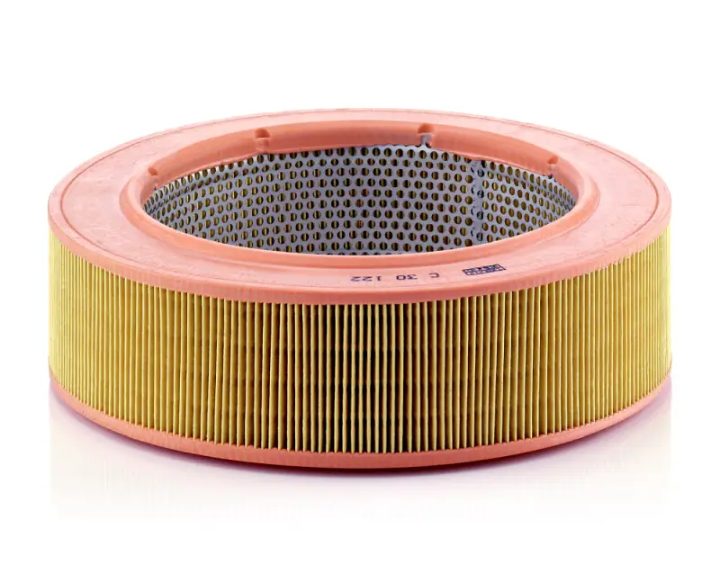 Meistverkauft MANN-FILTER C 30 122 - Luftfilter