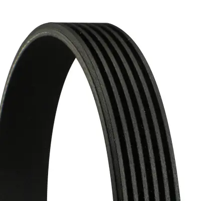 CONTINENTAL CTAM 6PK1080 EXTRA - Keilrippenriemen Markenprodukt