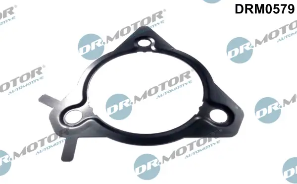 Preis Gesenkt Dr.Motor Automotive DRM0579 - Dichtung, Einspritzpumpe