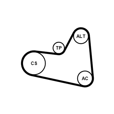 Garantierte Lieferung CONTINENTAL CTAM 6PK976K1 - Keilrippenriemensatz
