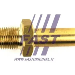 FAST FT53152 - Kühlerschlauch Neue Ware