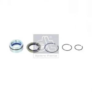 DT Spare Parts 1.32317 - Reparatursatz, Kippzylinder Abverkauf