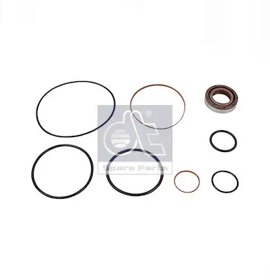 DT Spare Parts 4.90498 - Hydraulikpumpe, Lenkung Sichere Zahlung
