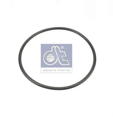 DT Spare Parts 6.21491 - Dichtring Günstig