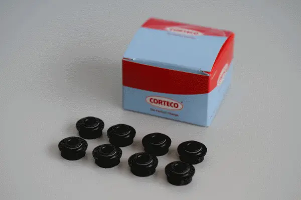 CORTECO 19036122 - Dichtungssatz, Ventilschaft Beliebt