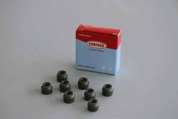 Markenprodukt CORTECO 19036741 - Dichtungssatz, Ventilschaft