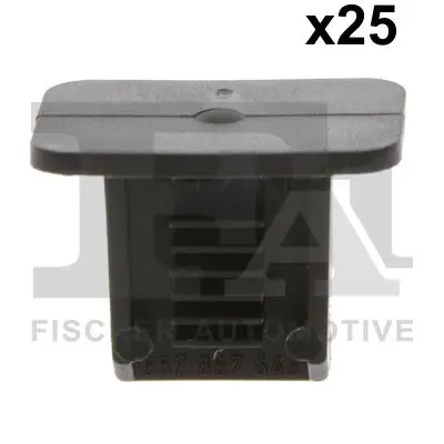 FA1 11-10017.25 - Clip, Zier-/Schutzleiste Highlight