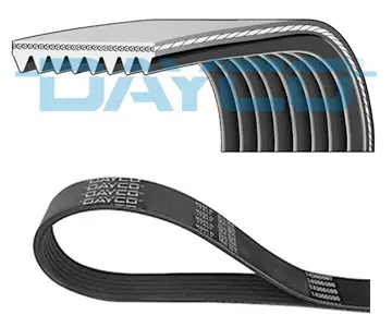 Preisknaller DAYCO 8PK1289HD - Keilrippenriemen