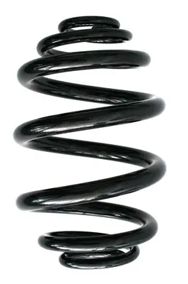SPIDAN 85736 - Fahrwerksfeder Top-Seller