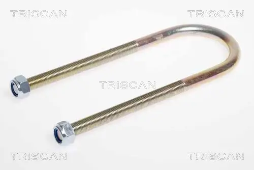 Mega-Angebot TRISCAN 8765 100009 - Federbride