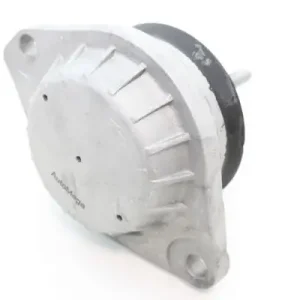 Expressversand AUTOMEGA 130058910 - Lagerung, Motor