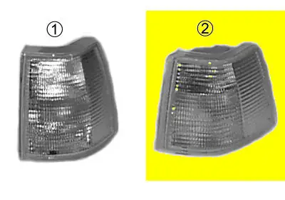 VAN WEZEL 5958908 - Blinkleuchte Sichere Zahlung