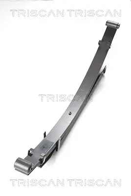 TRISCAN 8765 42006 - Federnpaket Direkt Vom Hersteller