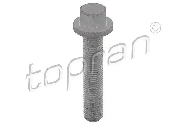 TOPRAN 503 133 - Riemenscheibenschraube Knallerangebot