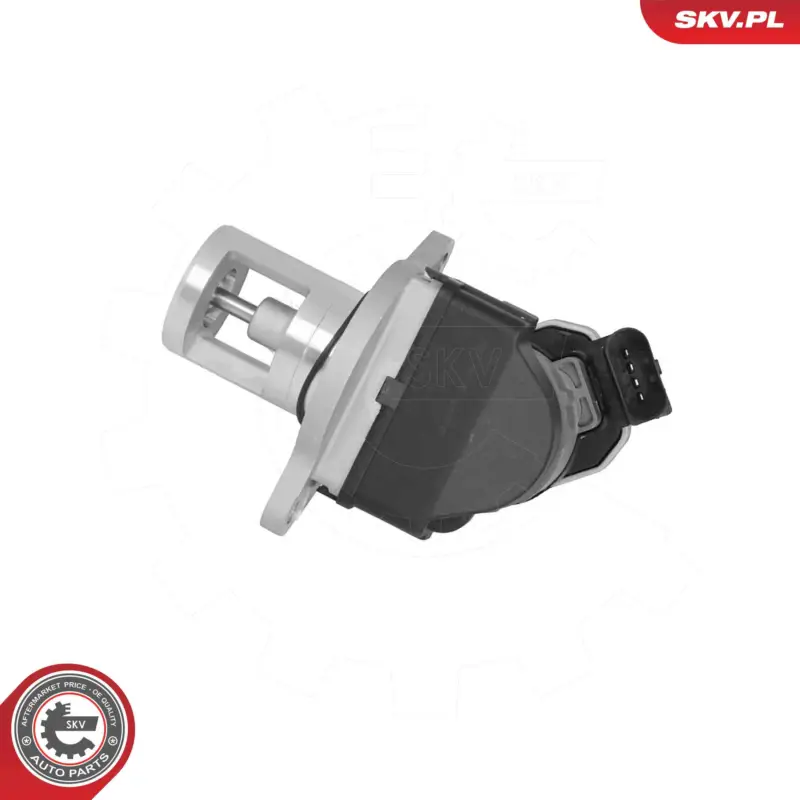 Nur Für Kurze Zeit ESEN SKV 14SKV309 - AGR-Ventil