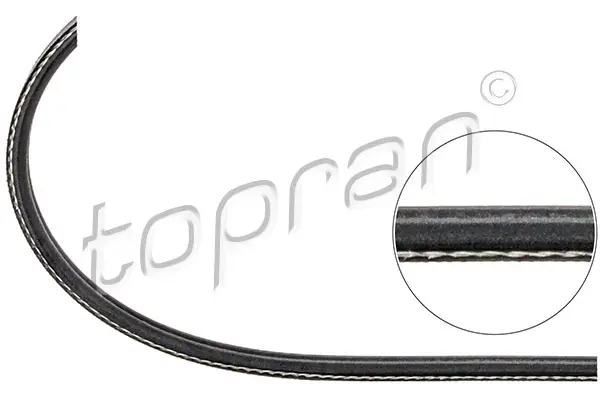 TOPRAN 109 623 - Keilrippenriemen Nur Heute