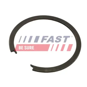 FAST FT96406 - Verschlussscheibe, Achsschenkel Direktkauf