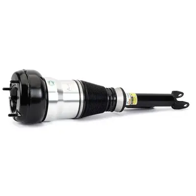 Preiswert Arnott AS-3359 - Luftfederbein