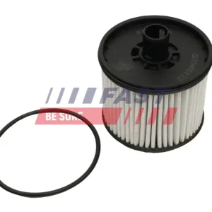 FAST FT39123 - Kraftstofffilter Expressversand
