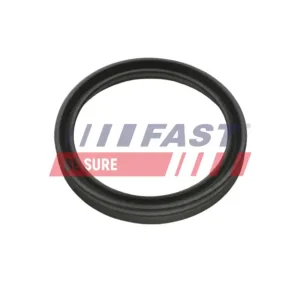 Billig FAST FT48956 - Dichtring, Ladeluftschlauch