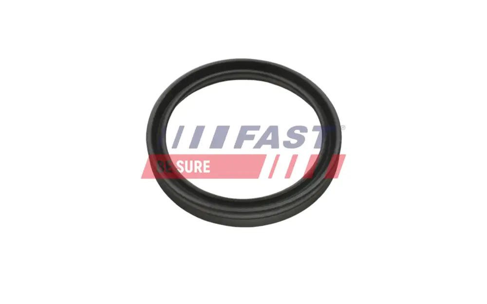 Billig FAST FT48956 - Dichtring, Ladeluftschlauch