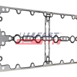 FAST FT49071 - Dichtung, Zylinderkopfhaube Sale