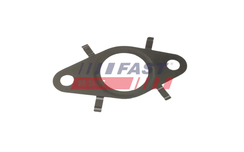 Schneller Versand FAST FT50622 - Dichtung, AGR-Ventil