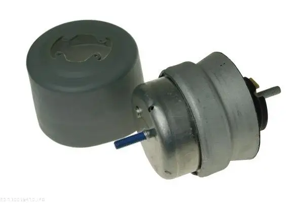 AUTOMEGA 130058410 - Lagerung, Motor Preiswert