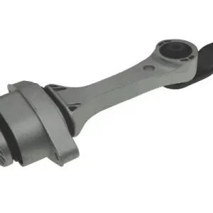 AUTOMEGA 130061510 - Lagerung, Motor Neu