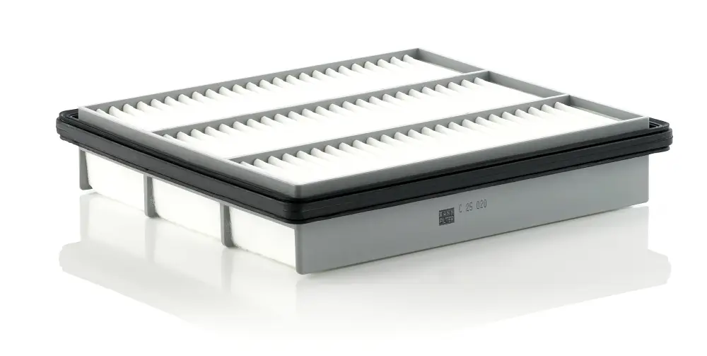MANN-FILTER C 25 020 - Luftfilter Billig