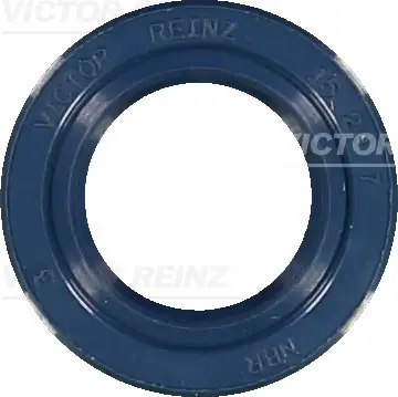 VICTOR REINZ 81-15293-10 - Dichtring, Schaltgestänge Bestpreis