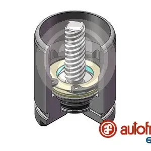 AUTOFREN SEINSA D025529K - Kolben, Bremssattel Meistverkauft