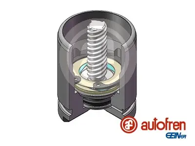AUTOFREN SEINSA D025529K - Kolben, Bremssattel Meistverkauft