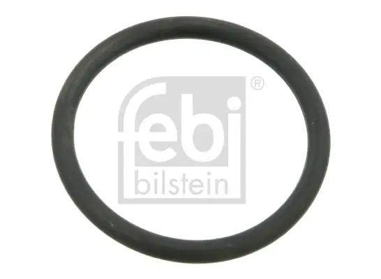 Nur Für Kurze Zeit FEBI BILSTEIN 03518 - Dichtung, Wasserpumpe