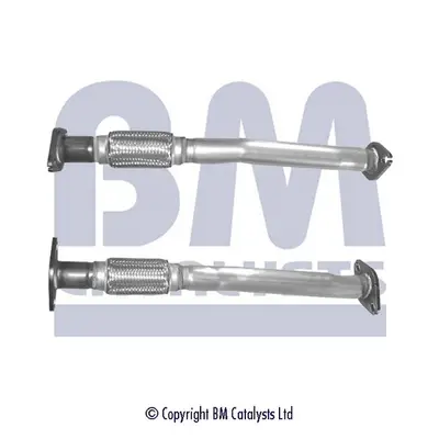 Top-Preis BM CATALYSTS BM50265 - Abgasrohr